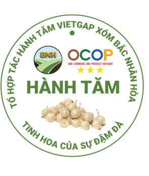 Hành tăm Nghi Thuận – sản phẩm nông nghiệp sạch của địa phương.